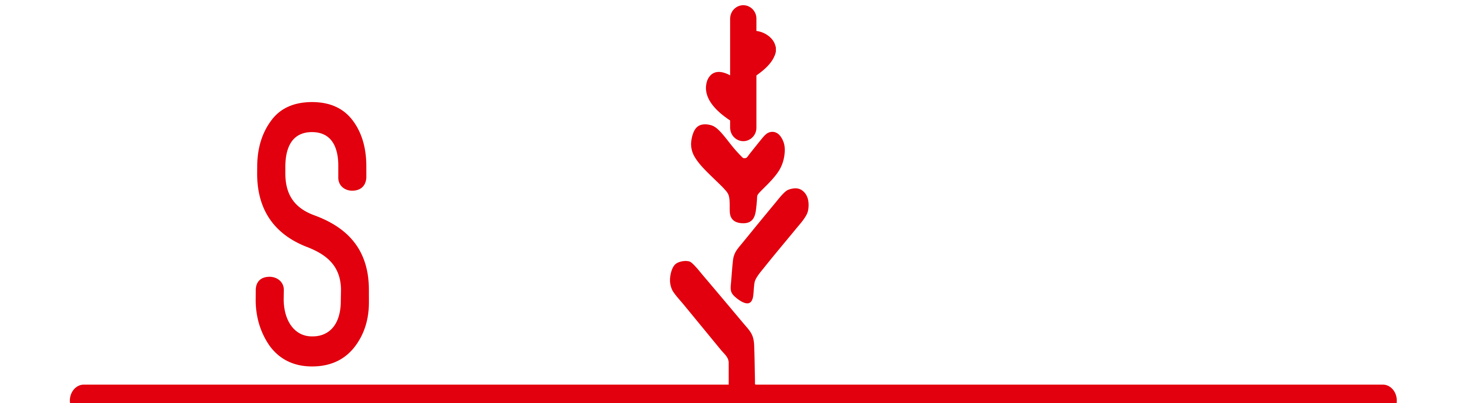 Lusse Home Logo
